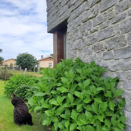 Holiday home La Casina De Eva