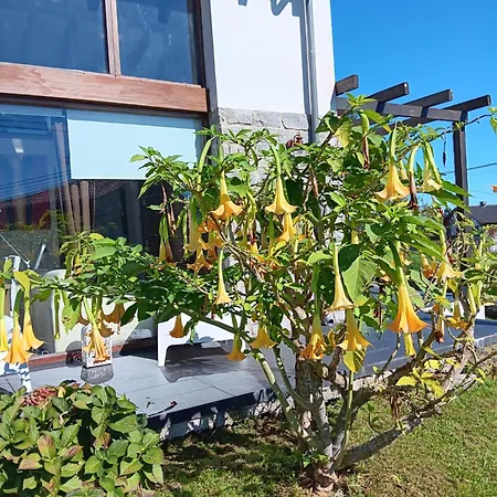 Holiday home La Casina De Eva Colunga