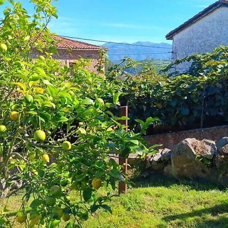 La Casina De Eva Colunga