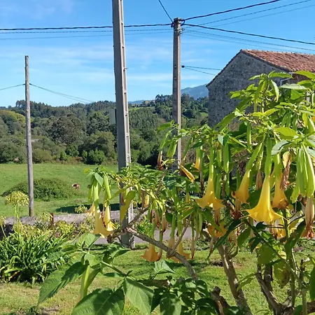 La Casina De Eva