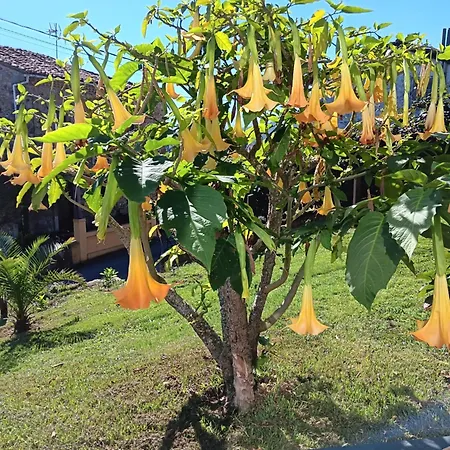 La Casina De Eva Σπίτι διακοπών *