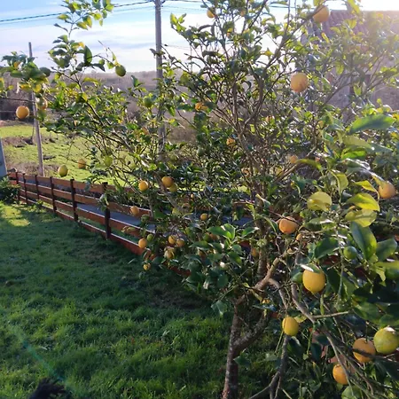 Σπίτι διακοπών La Casina De Eva Colunga